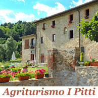 AGRITURISMO I PITTI